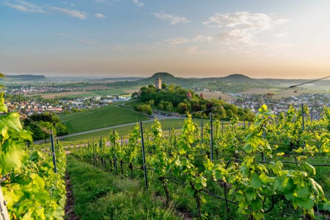 offers_bb0f5020-b834-11ed-a931-eb551161dc50