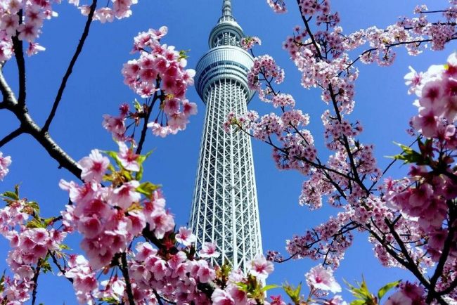 Die Burg des Wei&szlig;en Reihers in Himeji