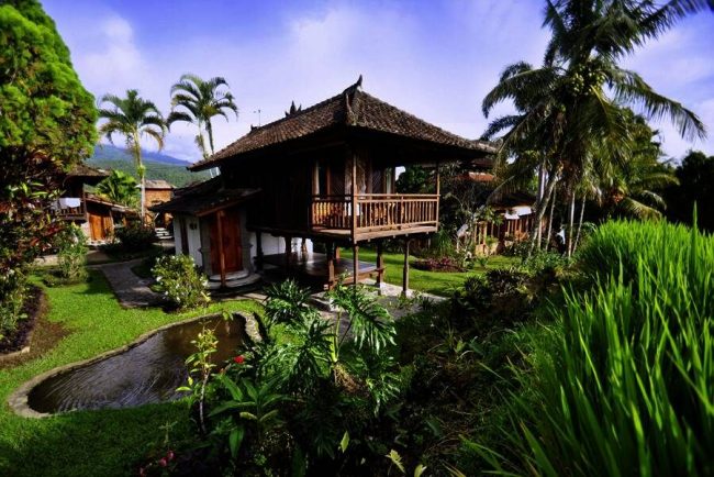 Stra&szlig;enverk&auml;ufer in Jogjakarta