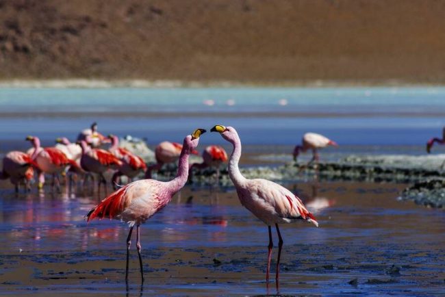 Gemeinsam geht's besser!