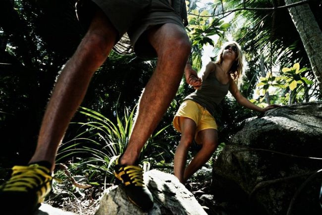 Ein Tukan, nur einer von vielen Dschungelbewohnern