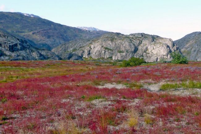 Wanderung im &bdquo;Tal der tausend Blumen&ldquo;