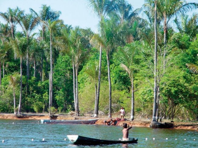 Einbaum auf dem Amazonas