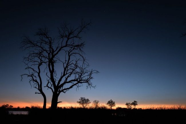 Sonnenaufgang im Camp, Xakanaxa