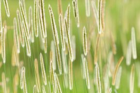 Details einer Fotoreise