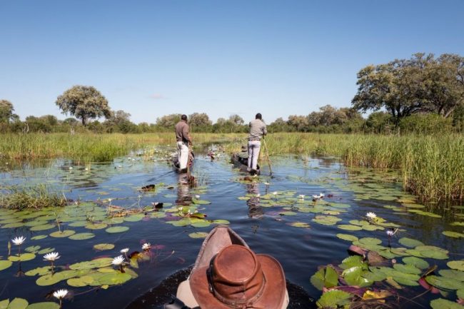 Die stille Seite des Deltas: Mokoro-Ausflug in Khwai