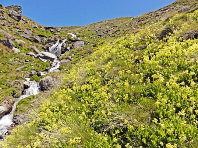 Unterwegs in der Sierra Nevada