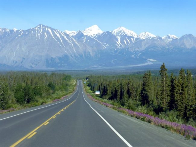 Auf dem Haines Highway im Yukon