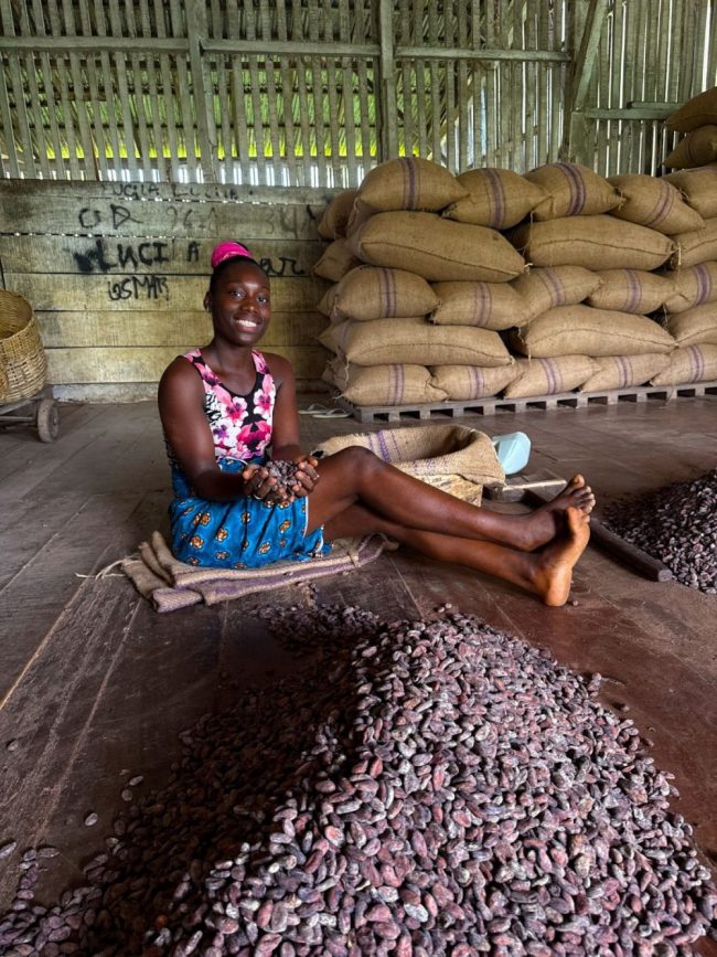 Kakao-Farm in Bela Vista