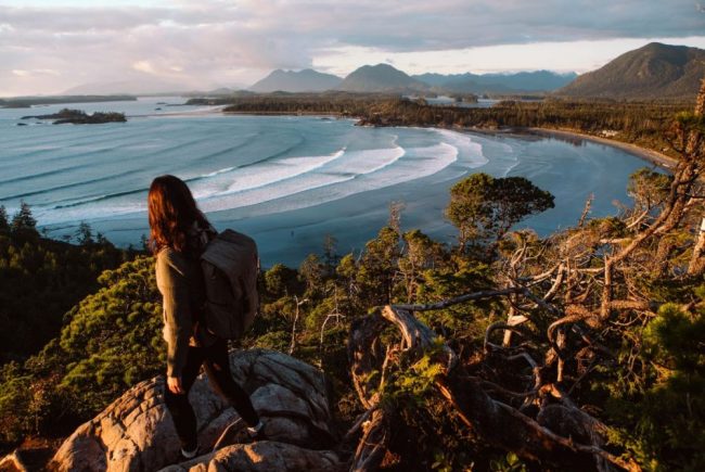 Orcas kann man gut auf Vancouver Island beobachten