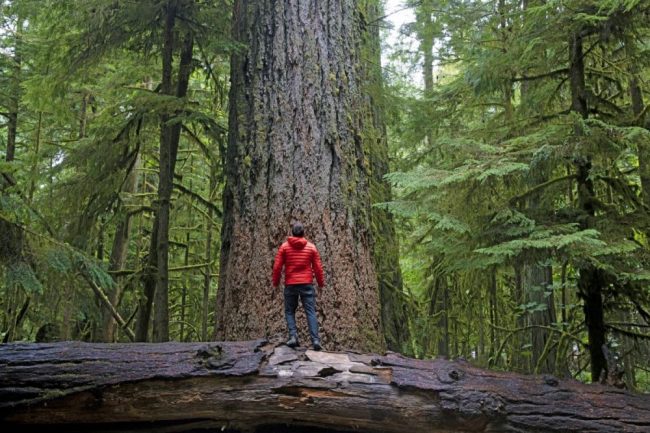 Sonnenuntergang auf Vancouver Island