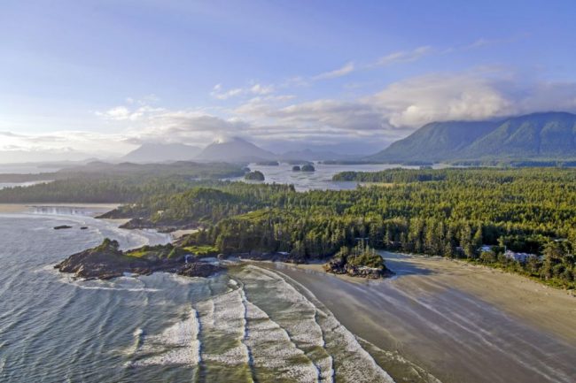 Treibgut im Pacific Rim NP