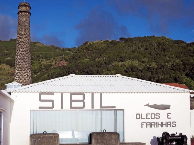 Ehemalige Walverarbeitungsfabrik