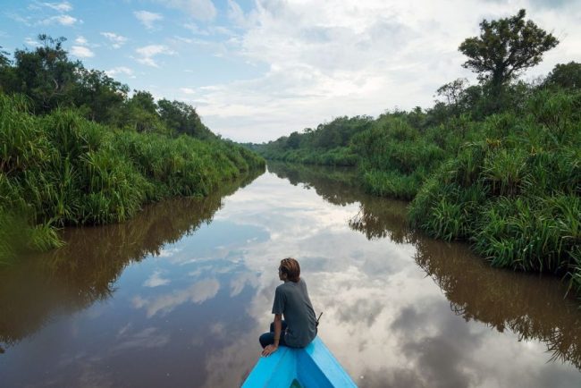 Flussfahrt im Tanjung-Puting-Nationalpark