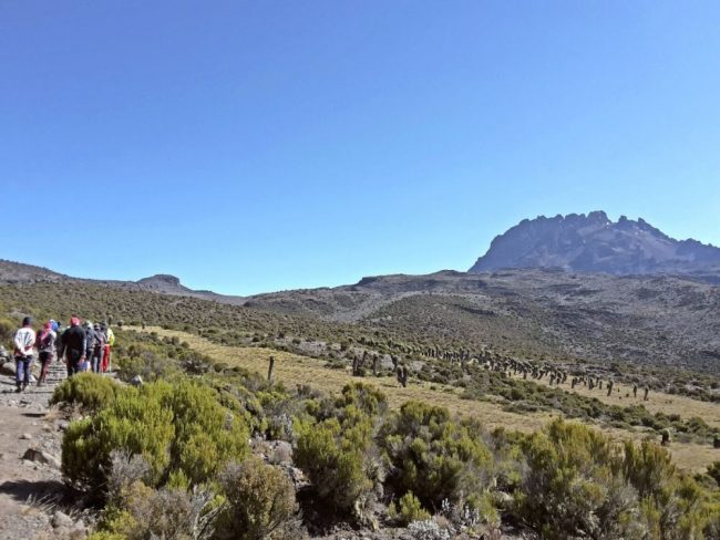 Das letzte St&uuml;ck zur Kibo Hut ist fast geschafft