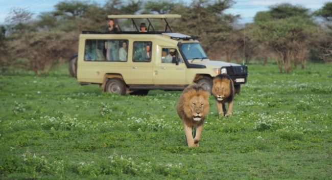 Aufstieg zur Saddle Hut, Mt. Meru