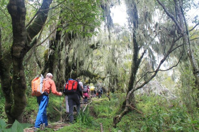 Trekking am Mount Meru
