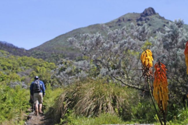 Blick auf den Kilimanjaro vom Mount Meru