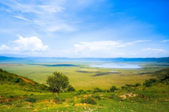 Blick auf das satte Gr&uuml;n des Ngorongoro Kraters in der Regenzeit