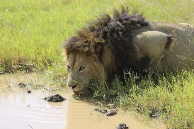 Horombo-H&uuml;tten am Kilimanjaro