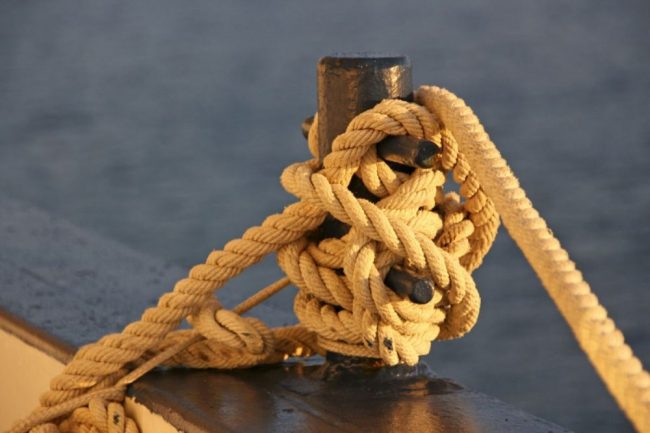 Farbenfrohe Laubf&auml;rbung der Tundra im Herbst