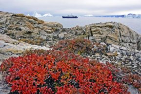 Spannende Strukturen an einem Eisberg