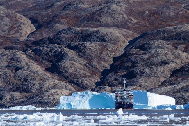 Eisberge vor der Kulisse des Scoresby-Sundes