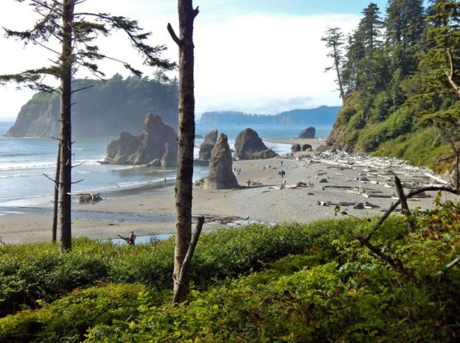 Tolle K&uuml;stenlinie im Olympic NP