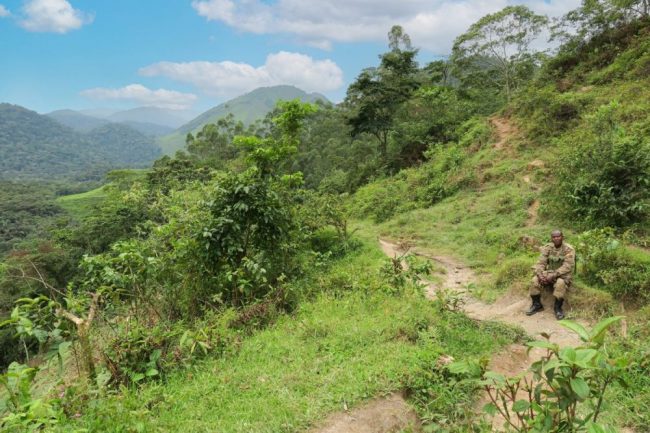 Ranger begleitet die Wanderung