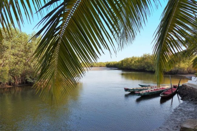 Am Gambia-Fluss.