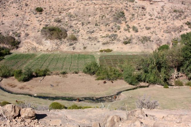 Landschaft unterwegs in Somaliland