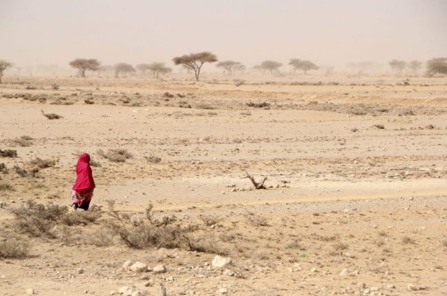 D&uuml;rre setzt den Nomaden zu