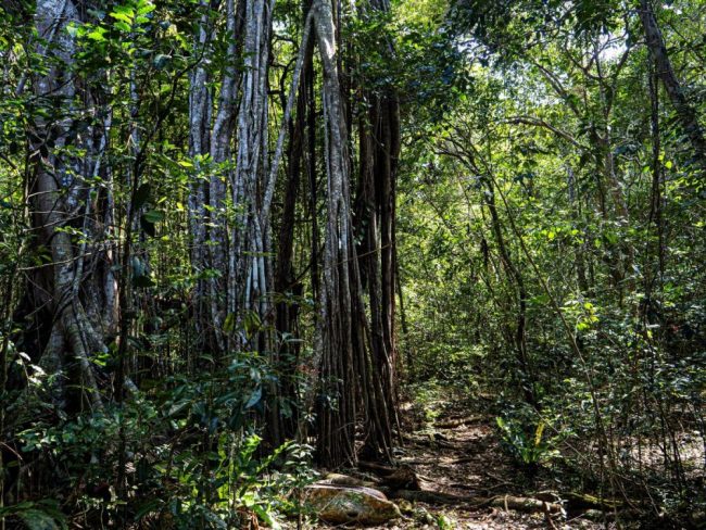 Blick auf die Inselwelt Neukaledoniens