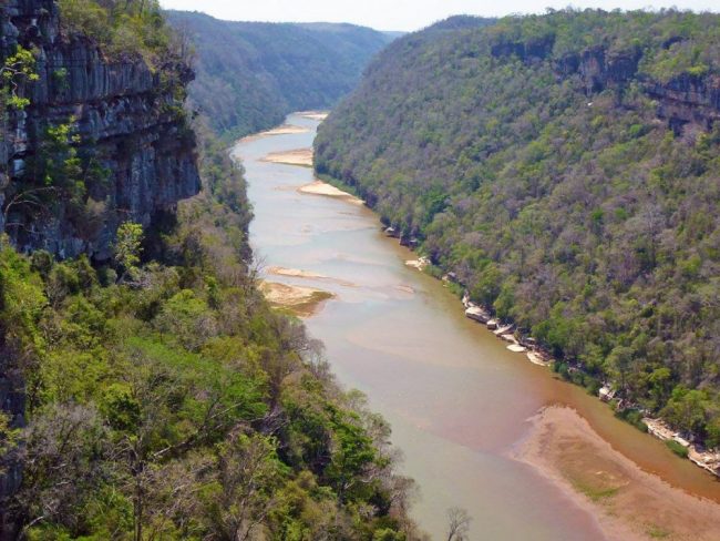 Ausflugsschiff am Flussufer