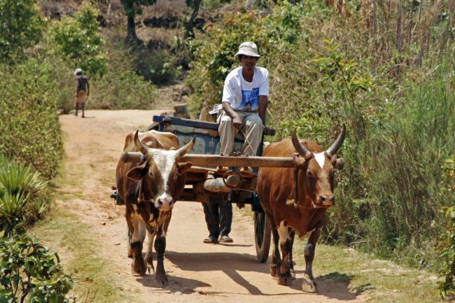 Flusslandschaft Tsiribihina