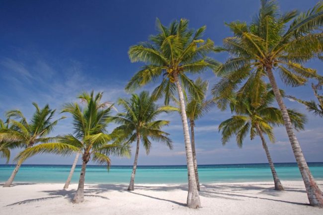 Die Philippinen begeistern mit ihrer atemberaubenden Natur, ihrer Gastfreundschaft und den paradiesischen Str&auml;nden