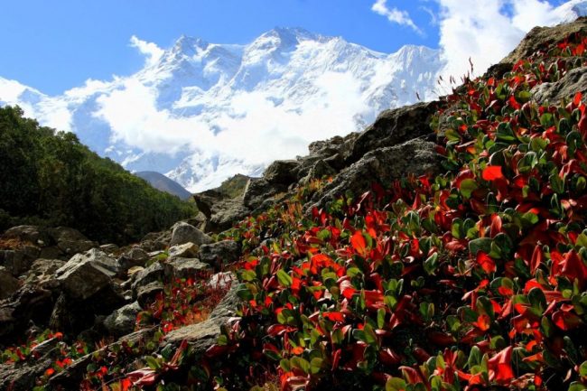 Karimabad liegt im Tal des Hunza-Flusses.