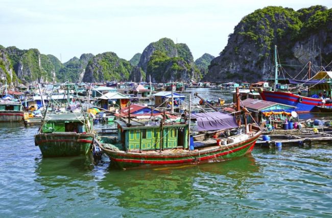 Fischerboote in der Halong-Bucht