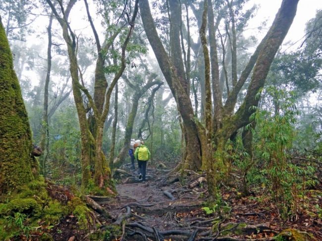 W&auml;hrend der Besteigung des Mt. Fanispan