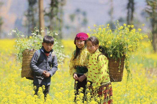 Kinder im bl&uuml;henden Rapsfeld