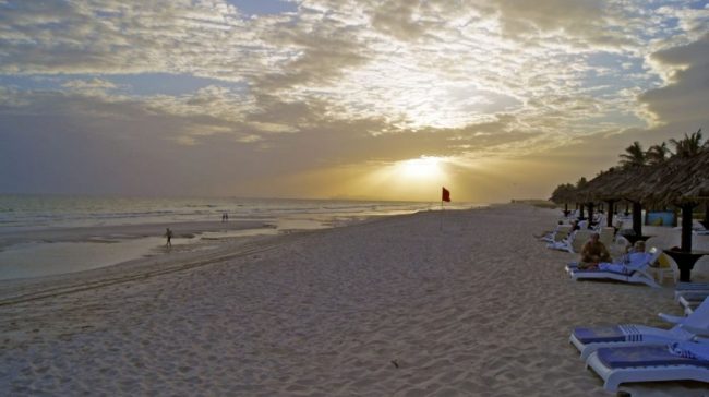 Kamele am Strand bei Salalah