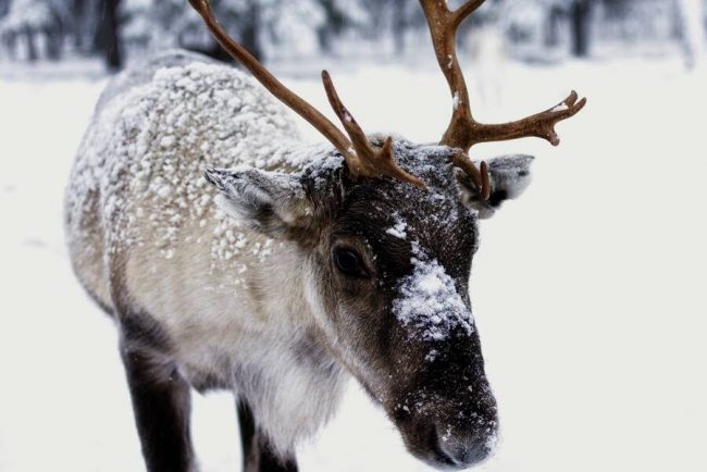 Iglubau mit jeder Menge Spa&szlig;