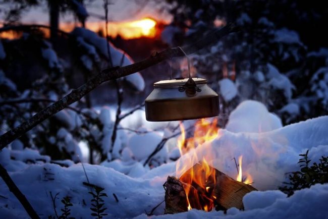 Augen auf, irgendwo schauen uns bestimmt die Kulleraugen eines Rentiers entgegen!