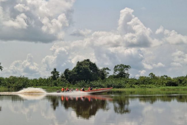 Bootsfahrt auf dem Ogooue-Fluss