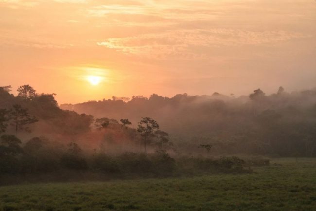 Bwiti-Zeremonie im Lop&eacute;-Gebiet in Gabun