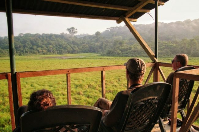 Tierbeobachtung im Loango-Nationalpark