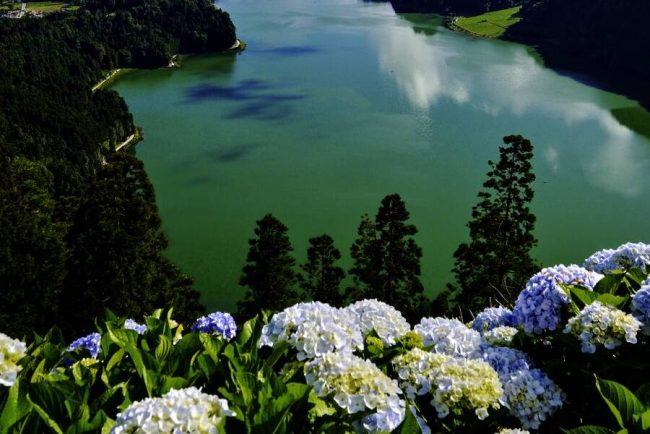 Hier hinterlassen Atlantiksegler ihre Gr&uuml;&szlig;e: die Kaimauer von Horta