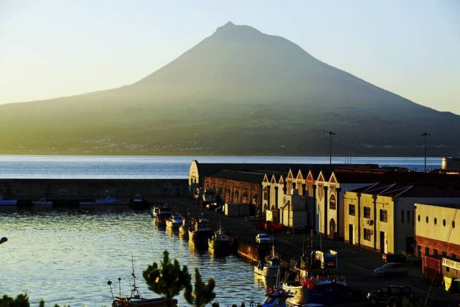 Kulinarische Begleiter auf den Azoren: saftige Orangen