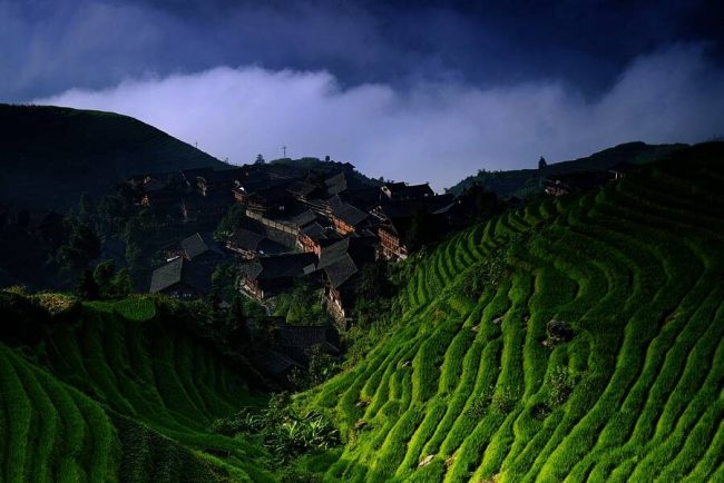 Tai-Chi am Abend in Shanghai