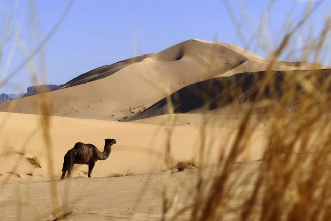 W&uuml;stenfelsformationen
